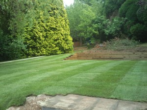 large lawn after turfing