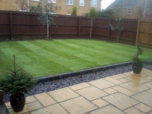garden lawn after turfing front view