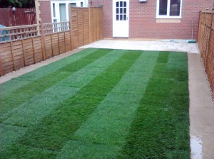 lawn like a football pitch