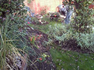 Garden maintanence - general tidy up